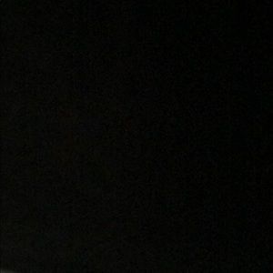 Meet your Posher, Frida